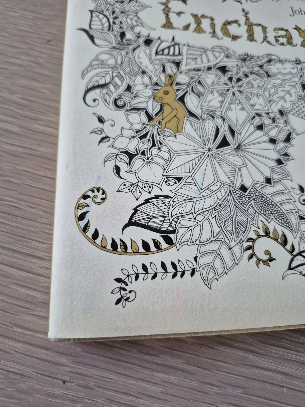 Enchanted Forest Coloring Book by — Cream & Gold